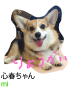 アセット 94-100