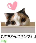 アセット 12