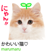 アセット 15