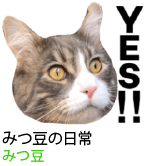 アセット 16