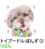 アセット 83