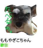 アセット 81