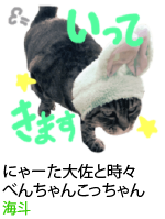 アセット 38