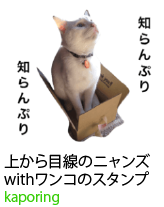 アセット 3