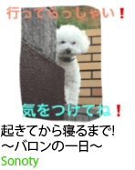 アセット 73