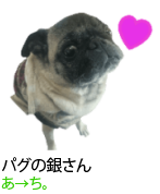 アセット 43
