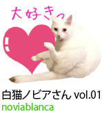 アセット 24