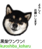 アセット 42