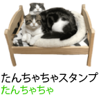 アセット 19