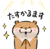 03