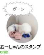 アセット 52