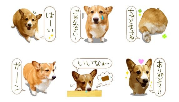 キャプチャ4
