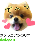 アセット 40