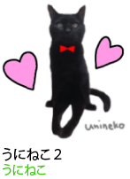 アセット 26