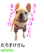 アセット 54