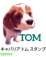 アセット 45