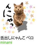 アセット 25