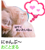 アセット 36