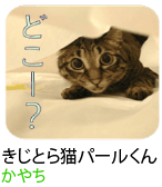 アセット 18