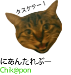 アセット 17