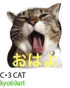 アセット 29