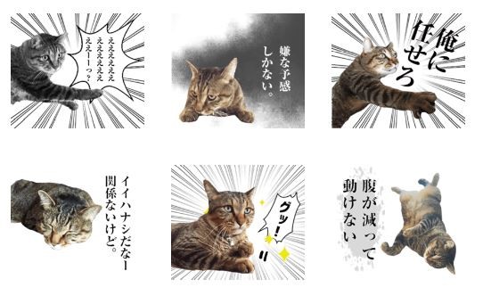 キャプチャ1