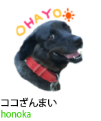アセット 78