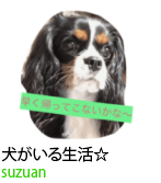 アセット 75
