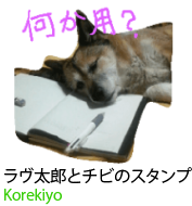 アセット 9