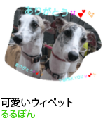 アセット 55