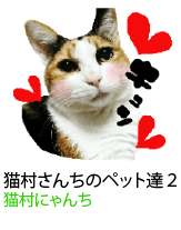 アセット 4