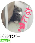 アセット 19