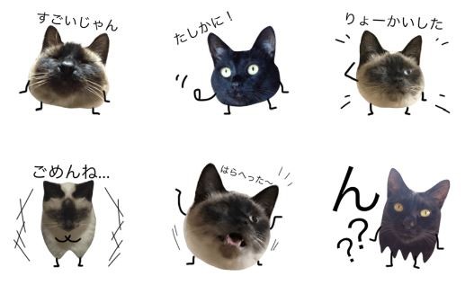 キャプチャ2