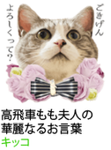 アセット 16