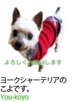 アセット 53