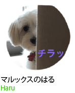 アセット 77