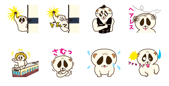 愛されスローロリス