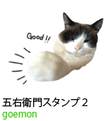 アセット 28
