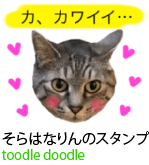 アセット 24