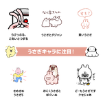 注目カテゴリ(うさぎ)