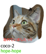 アセット 84