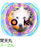 アセット 70