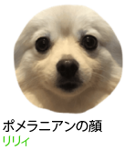 アセット 62