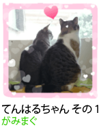 アセット 21