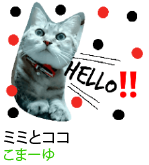 アセット 17