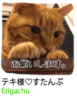 アセット 22