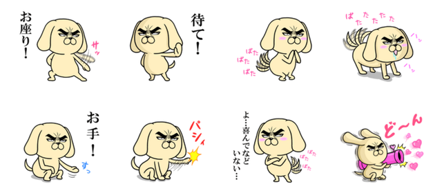 目ヂカラ☆わんこ④
