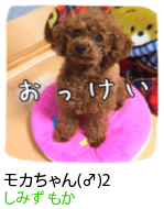 アセット 87