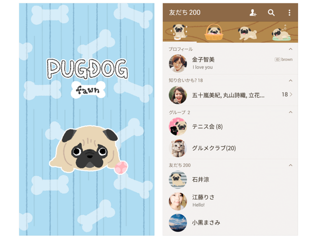 pug