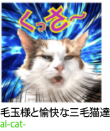 アセット 37